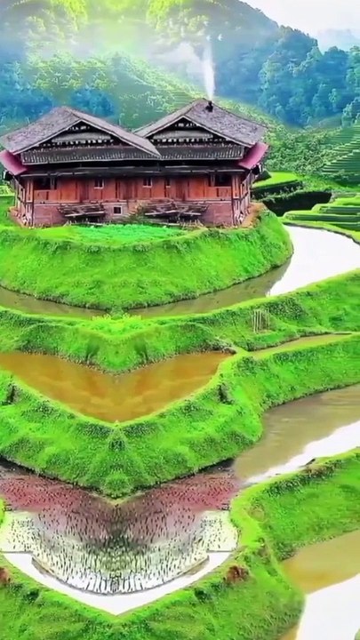 Natural beauty, natural beauty view ,#natural ,#nature