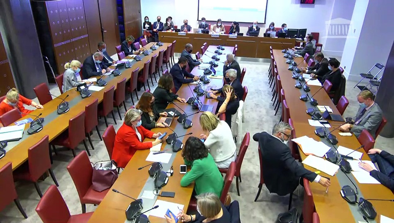 Commission des affaires sociales : Modalités de représentation des travailleurs indépendants recourant pour leur activité aux plateformes - Mardi 21 septembre 2021