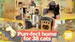 Purr-fect home for 38 cats | Make Your Day