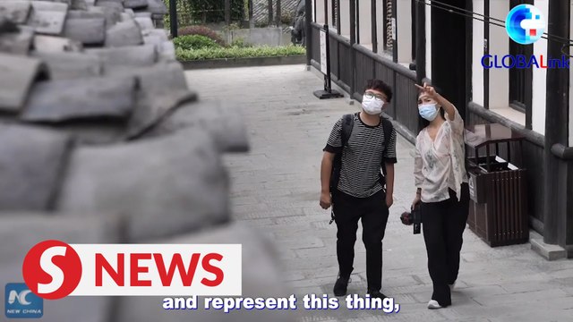 Vlogger Li Ziqi: Why I started and how I did it