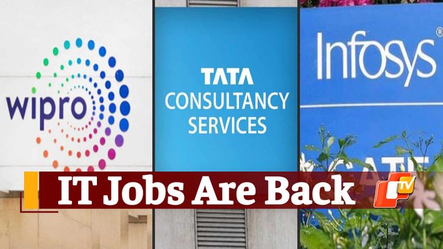 Proof Jobs In IT Sector Are Back, TCS, Infosys, Wipro Big Hirers