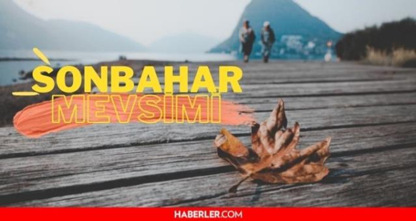 Sonbahar Mevsimi Google Doodle'da! Sonbahar hakkında 8 gerçek! Sonbahar başladı mı? Sonbahar ekinoksu!