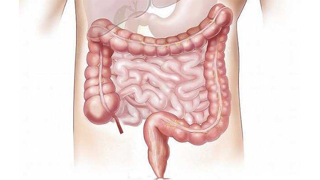 आंतों की सारी गंदगी निकाल बाहर करेगा ये उपाय । पाचन की समस्या होगी दूर । Boldsky