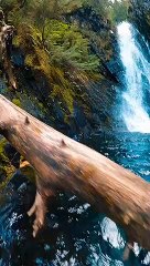 Beautiful Scenery | Water Fall | Relaxing