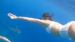 Ananya Panday ने टू-पीस में समुद्री कछुए के साथ किया Scuba Diving, Viral Video | FilmiBeat