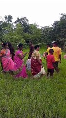 Indian traditional Jakhadi nrutya, Konkan Maharashtra