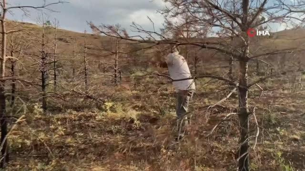 Profesörden tenekeli performans