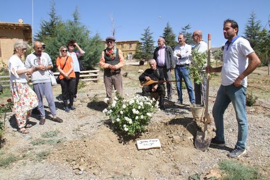 Sonsuz Şükran Köyü'nde Yunus Emre anısına çınar fidanı dikildi