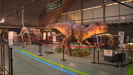 '사라진 공룡, 그들의 귀환'...고성공룡엑스포 10월 1일 개막 / YTN