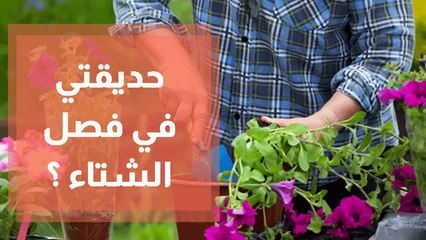 كيف اجهز حديقتي لفصل الشتاء ؟