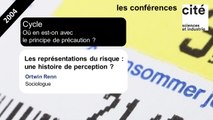 Les représentations du risque : une histoire de perception ? (version anglaise)