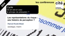 Les représentations du risque : une histoire de perception ? (français)