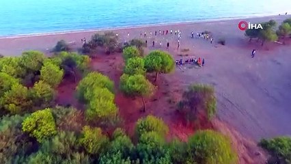 Endemik kum zambaklarına şeritli ve levhalı koruma