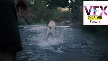 Dog and crocodile swiming amazing  vfx creation | viral video