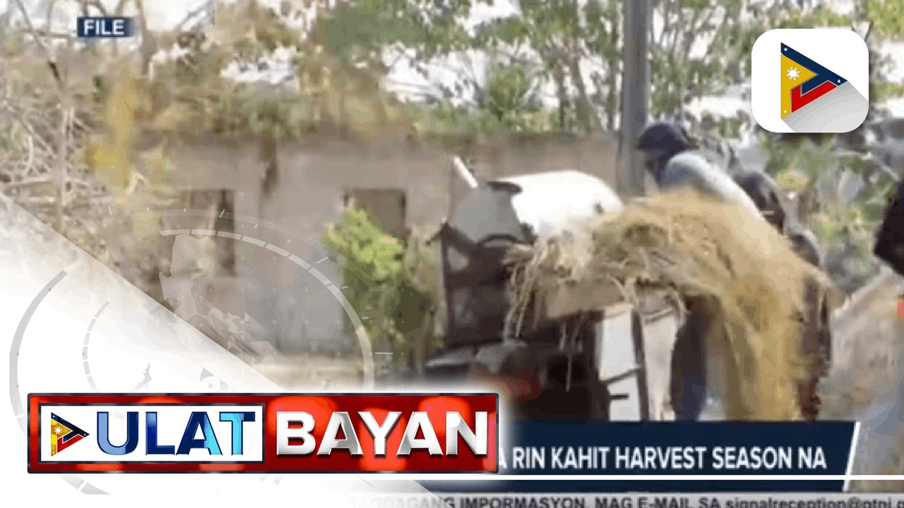 Presyo ng bigas, tumaas pa rin kahit harvest season na; Grupo ng mga magsasaka, nanawagan sa Agriculture Department na kontrolin ang pagdating ng imported rice