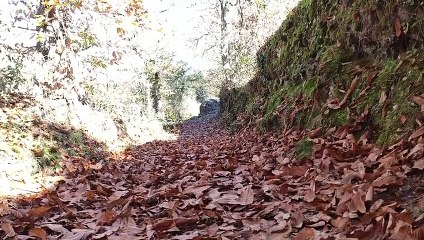 El otoño comienza este miércoles a las 21.21 horas