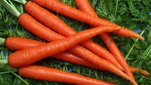 गाजर का सेवन हो सकता है खतरनाक, इन लोगों की हालत हो सकती है खराब | Boldsky