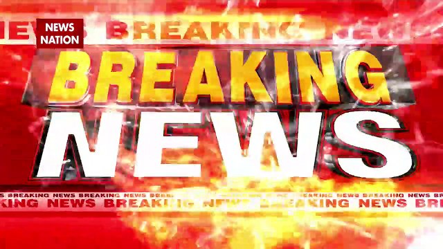 Anand Giri sent to 14 days judicial custody