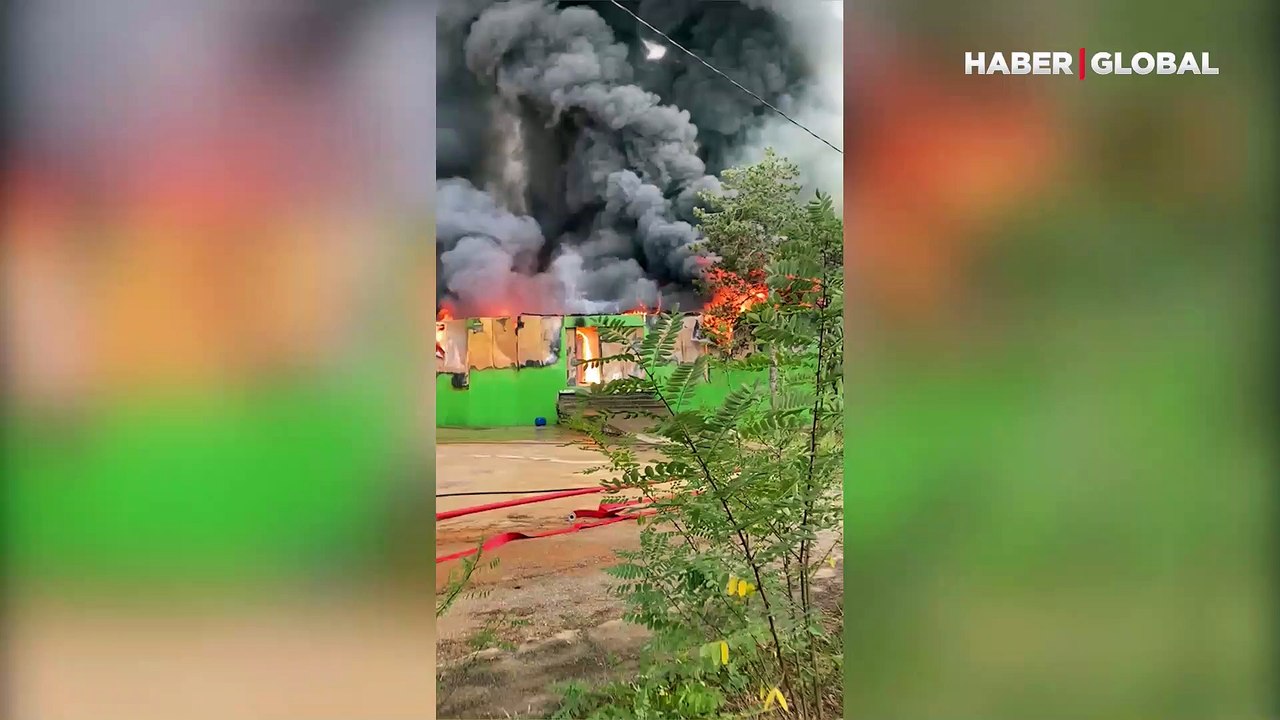 Şile'deki yangın kontrol altında