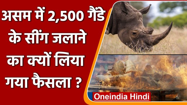 World Rhino Day: 2,500 Rhino Horns जलाने का Assam ने क्यों लिया फैसला ? | वनइंडिया हिंदी