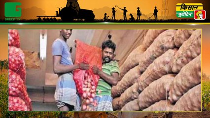 Now the onion of farmers will be saved from being wasted, the government is giving 50 percent grant for building onion warehouse || Agri News Bulletin || Green TV