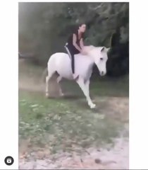 food was the only thing on its mind