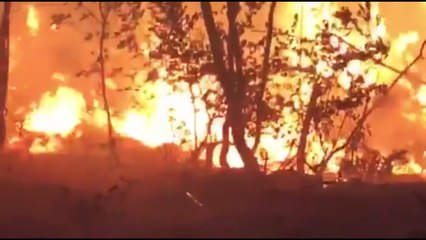 Poluição mata sete milhões de pessoas por ano