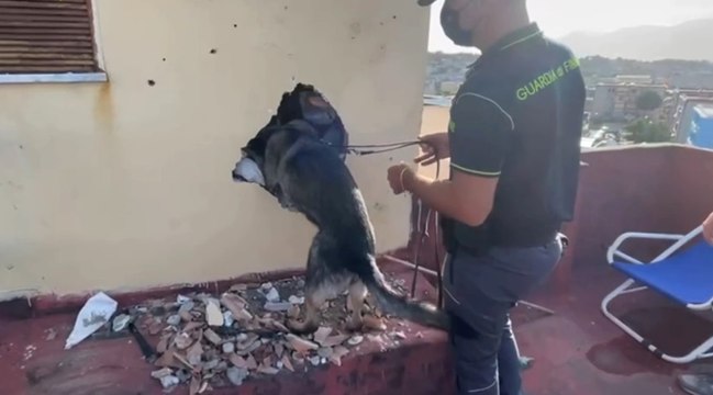 Torre Annunziata (NA) - Controlli a tappeto: sequestri e denunce per armi e droga (22.09.21)