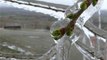 Meteoroloji'den çiftçilere kritik uyarı: Kayseri, Sivas, Kırşehir ve Yozgat'ta don bekleniyor
