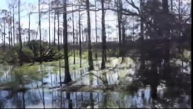 La policía busca al novio de Gabby Petito, la joven desaparecida, cuyo cuerpo sin vida encontraron en Wyoming