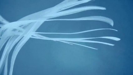 [Thuyết Minh] NẾU EM BÌNH AN ĐÓ MỚI LÀ NGÀY ĐẸP TRỜI | Tập 01