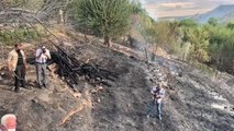 Tarladan ormanlık alana sıçrayan yangın kontrol altına alındı