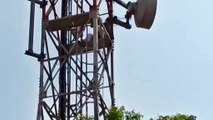 अधिकारी को हटाने के लिए भाजपा नगर अध्यक्ष मोबाइल टावर पर चढ़ा