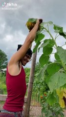 Top Trending   The Best TikTok Videos Compilation - Ep. #103