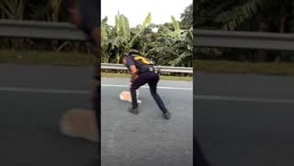 People Work to Save Panicked Pup