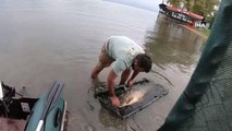 Sapanca Gölü'nde 23 kiloluk sazan yakaladı, sezonun rekorunu kırdı