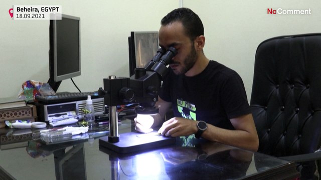 Egyptian artist carves pencil tips into tiny statues of pharaohs