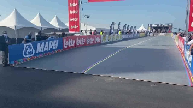 Mondiaux de cyclisme : les médaillés belges reçus par le Roi