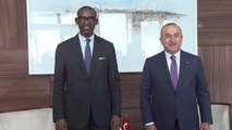 Dışişleri Bakanı Çavuşoğlu, Avrupa Konseyi Genel Sekreteri Buric ile görüştü