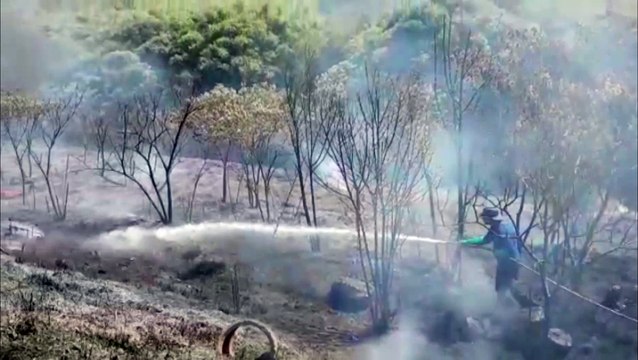 Incêndio de grandes proporções em vegetação mobiliza diversas equipes no Universitário