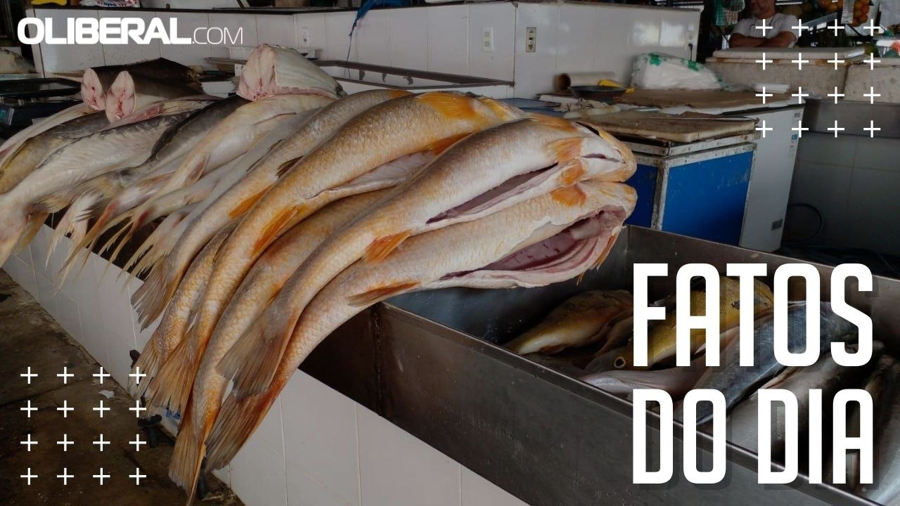 Preço do peixe caiu em 21 das 29 espécies pesqu...