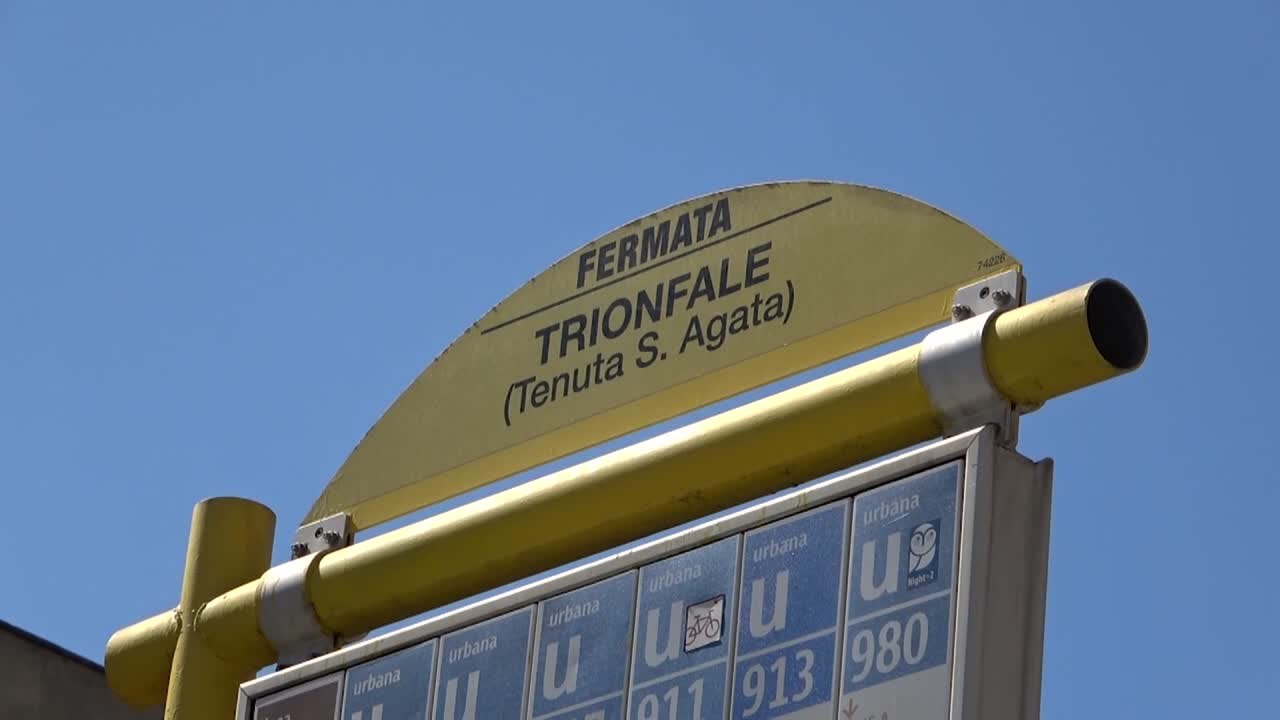 Cinghiali, residenti a Roma Nord: "siamo stanchi e spaventati'