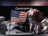 Coronavirus installé sur la lune The coronavirus has settled on the moon