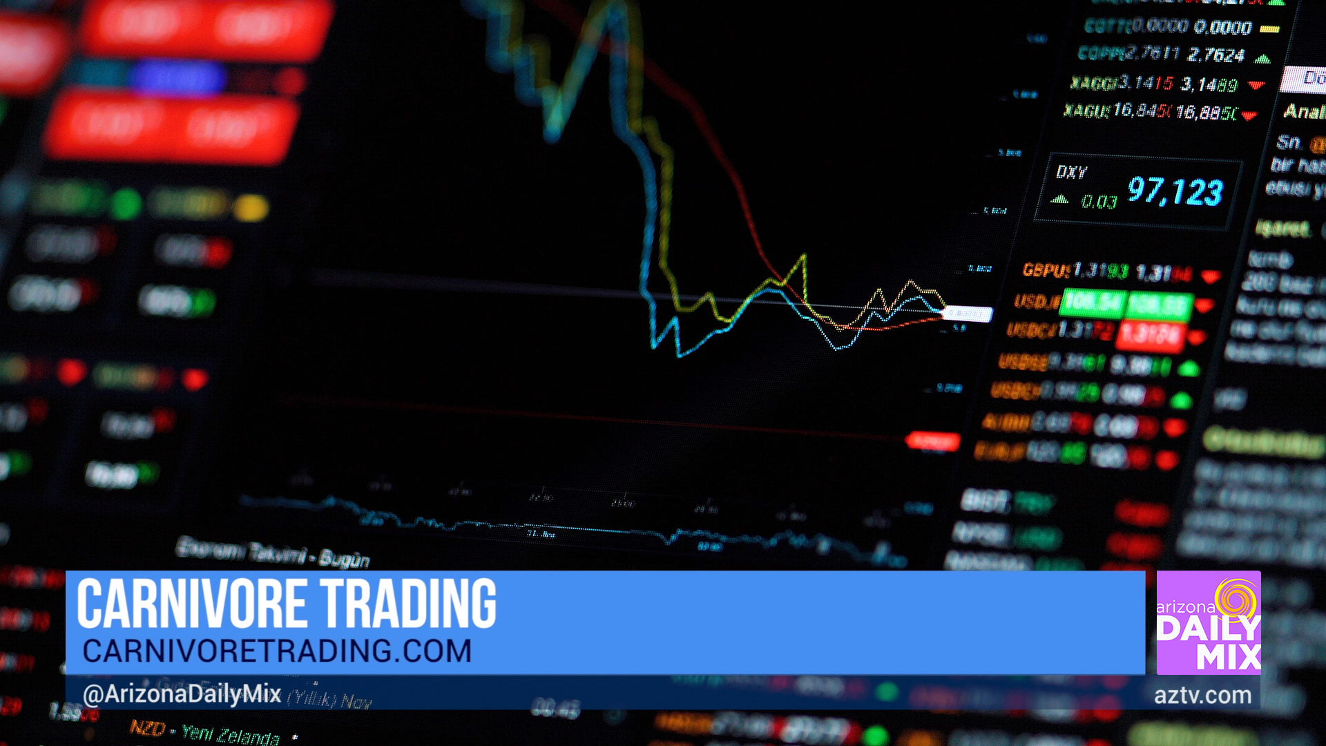 Learn How to Execute High Quality Trades with Carnivore Trading