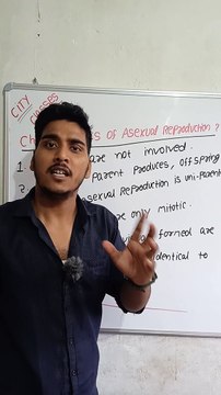 Characteristics of Asexual Reproduction | characteristics of asexual Reproduction in Hindi | characteristics of asexual reproduction biology #cityclasses