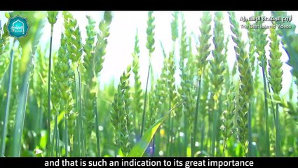 20. لذة البكاء من خشية الله وفضله   د . محمد سعود الرشيدي Crying from God and his fear