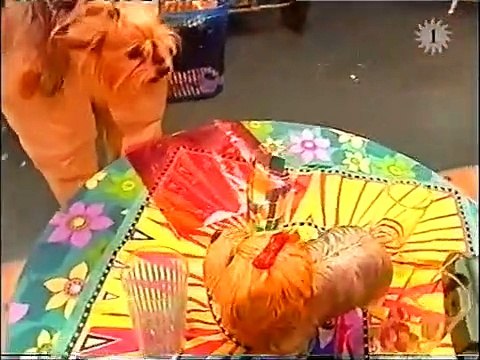 10 JAAR KAMPIOEN! - Aflevering 2 (Marijn Devalck)