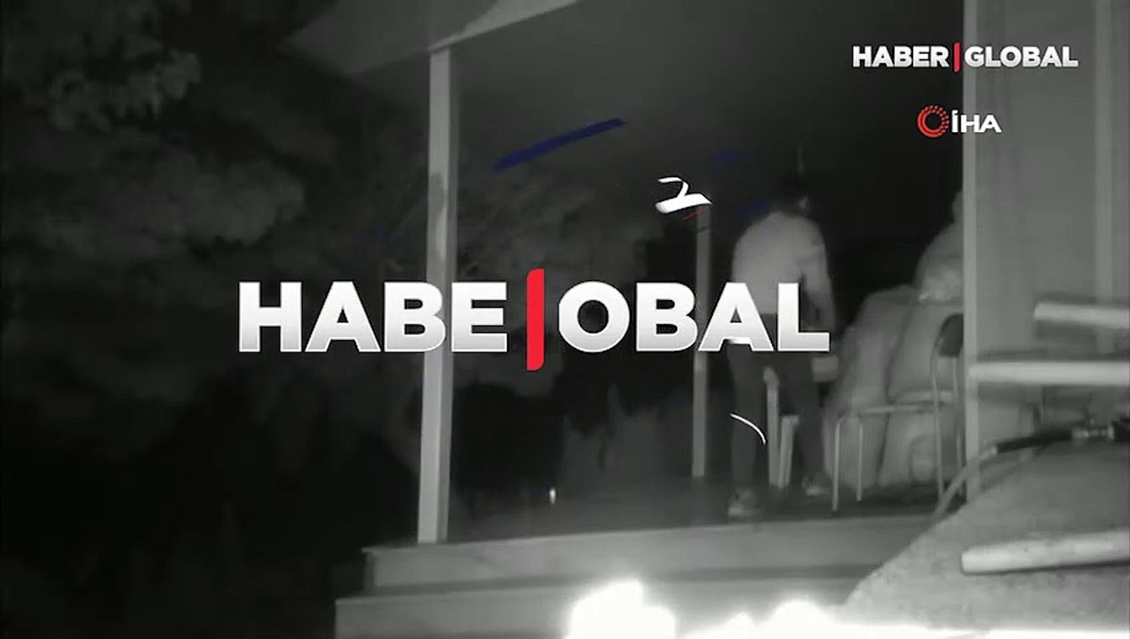Ormanlar için hazırlanan tohumları çaldılar! O anlar kamerada