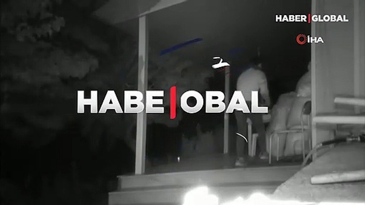Ormanlar için hazırlanan tohumları çaldılar! O anlar kamerada