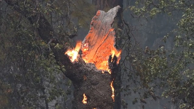 Experts link explosive wildfires to climate change